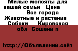 Милые мопсяты для вашей семьи › Цена ­ 20 000 - Все города Животные и растения » Собаки   . Кировская обл.,Сошени п.